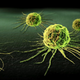 Illustration for article titled Scientists Discover How Cancer Cells Chase After Healthy Cells